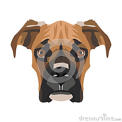 Illustration dog`s head Boxer Vector Illustration